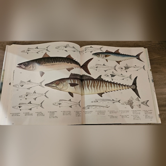 Gorgeous 1970s Coffee Table Book with Illustrations - Picture 6 of 13